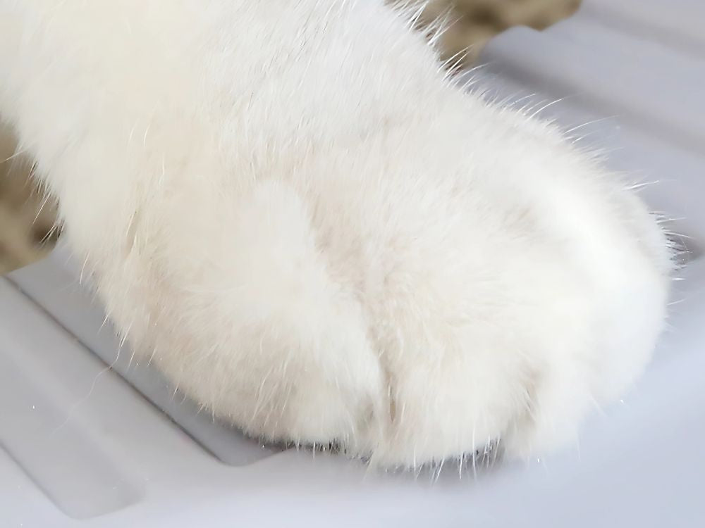 Atviras šiukšlių dėklas, didelis, tvirtas, su lopetėle ir aukštu apvadu