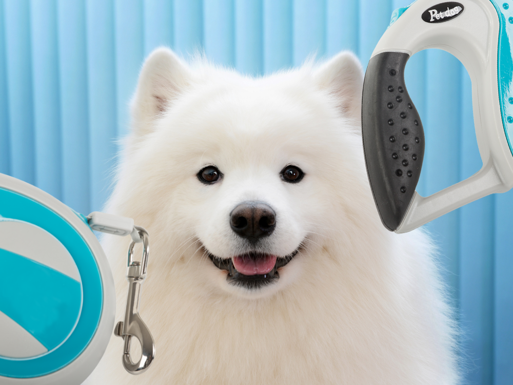 Automatinis 5 m stiprus pavadėlis šuniui iki 20 kg su užraktu stiprus ilgas, Mėlyna, Szín, Kék