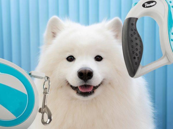 Automatinis 5 m stiprus pavadėlis šuniui iki 20 kg su užraktu stiprus ilgas, Mėlyna, Szín, Kék