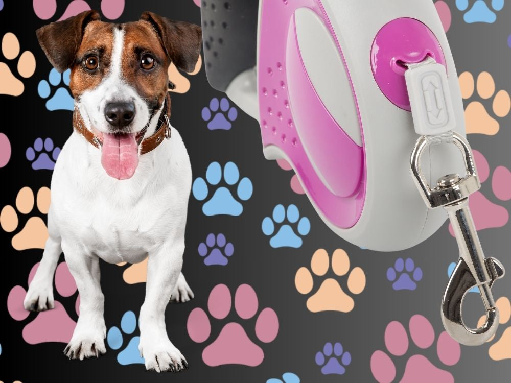 Automatinis 5 m stiprus pavadėlis šuniui iki 20 kg su užraktu stiprus ilgas, Rožinė, Szín, Rózsaszín