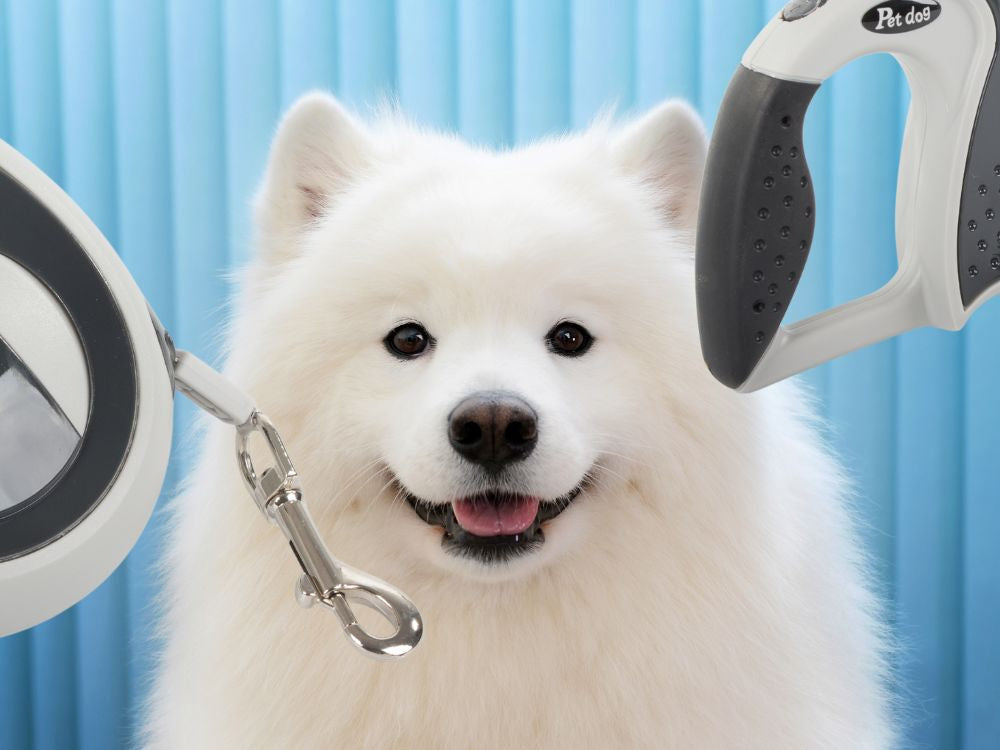 Automatinis 5 m stiprus pavadėlis šuniui iki 20 kg su užraktu stiprus ilgas, Juoda, Szín, Fekete