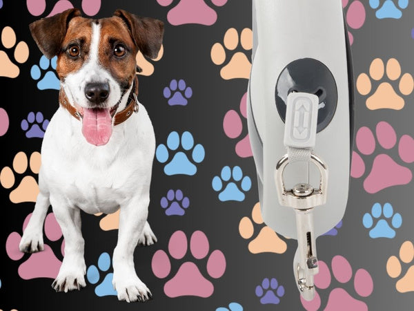 Automatinis 5 m stiprus pavadėlis šuniui iki 20 kg su užraktu stiprus ilgas, Juoda, Szín, Fekete