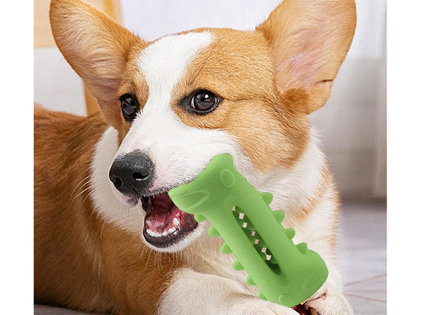 Šunų kramtymas dantų valymas dantų žaislas šunims, skirtas skanėstams