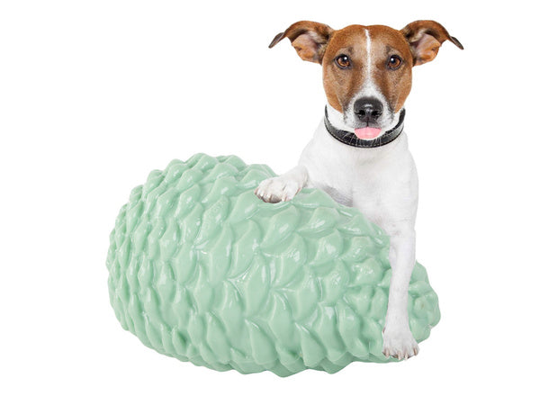 Šunų kramtymo dantų valymo žaislas šunų kūgis skanėstams