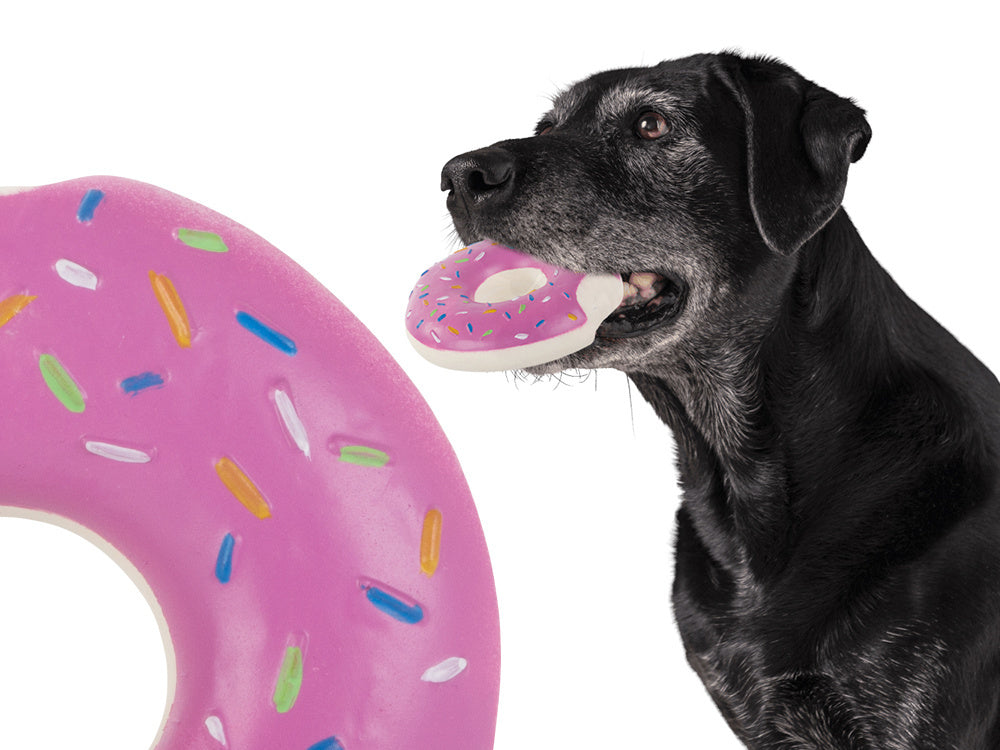 Žaislas šuniui, katei guminis kramtukas kramtyti guminis pumpuras kramtukas