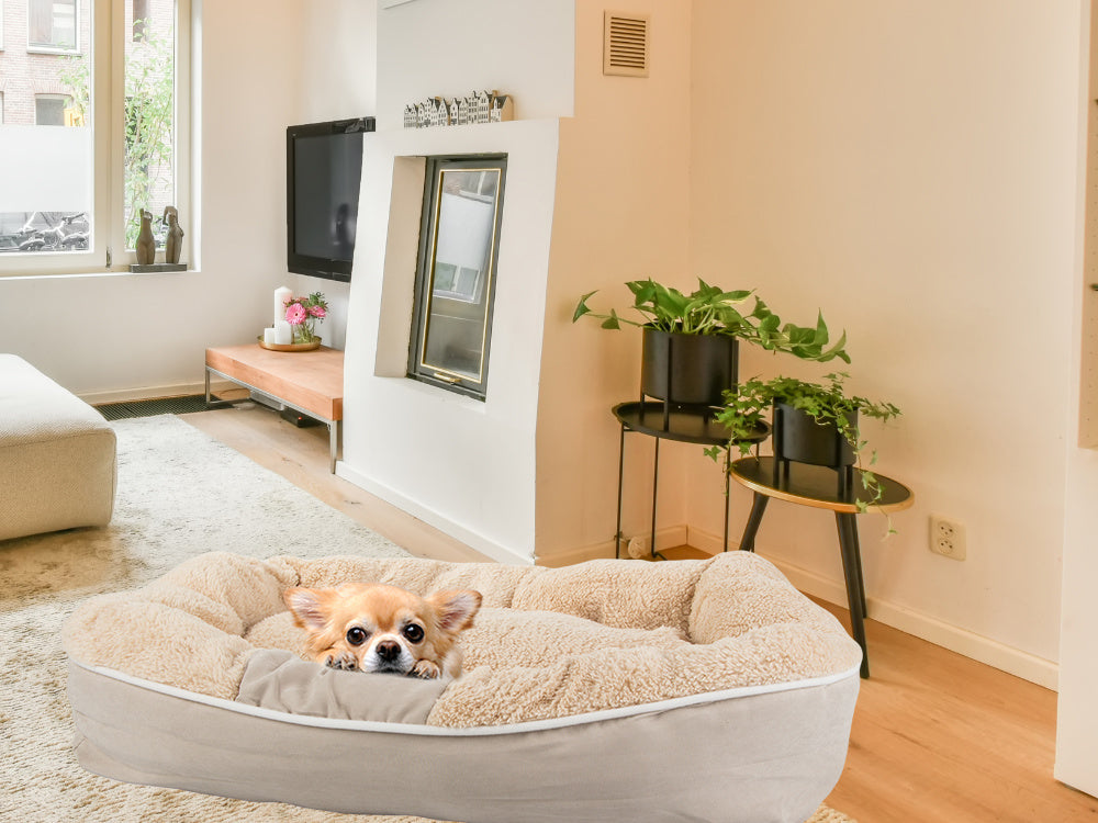 Pliušinė šunų žaidimų aikštelė lova minkšta pagalvėlė sofos patalynė pūkuota, Smėlio spalvos, Szín, Bézs