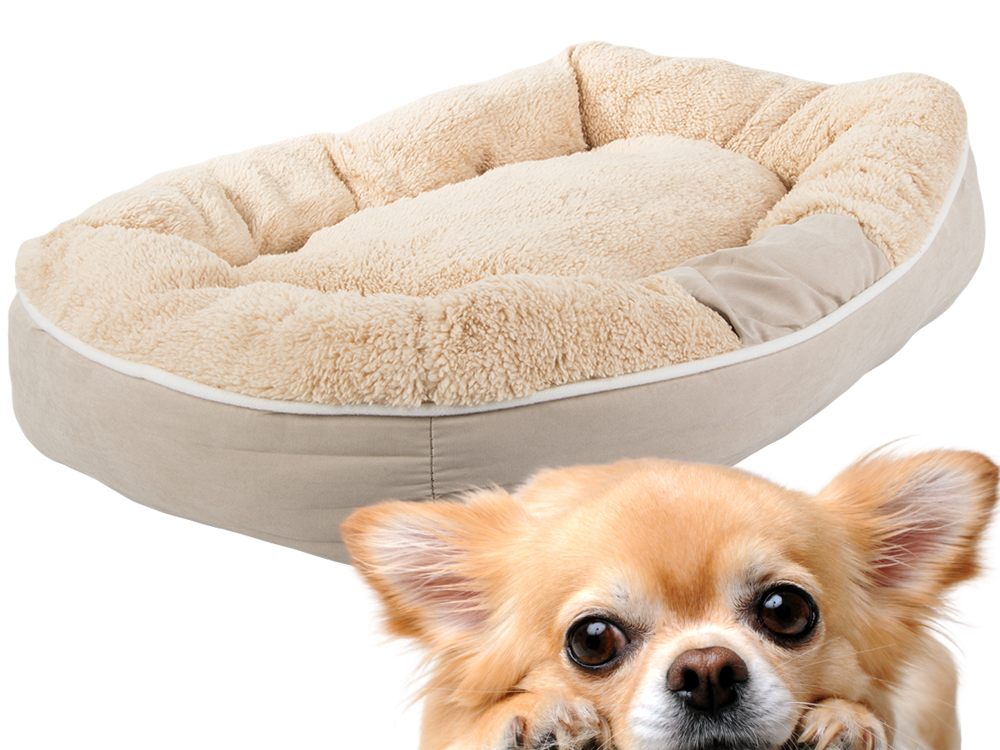 Pliušinė šunų žaidimų aikštelė lova minkšta pagalvėlė sofos patalynė pūkuota, Smėlio spalvos, Szín, Bézs