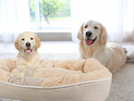 Pliušinė šunų žaidimų aikštelė lova minkšta pagalvėlė sofos patalynė pūkuota, Smėlio spalvos, Szín, Bézs