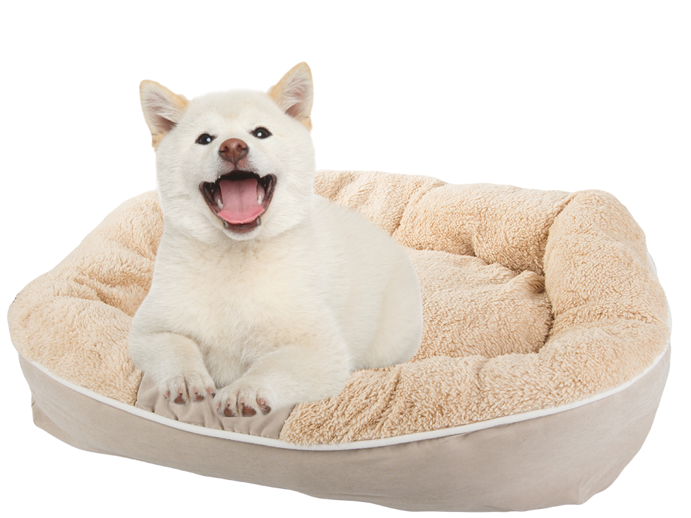 Pliušinė šunų žaidimų aikštelė lova minkšta pagalvėlė sofos patalynė pūkuota, Smėlio spalvos, Szín, Bézs
