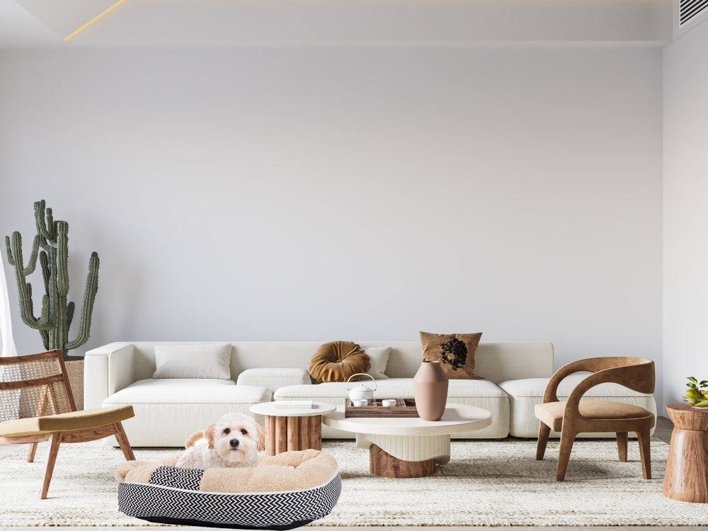 Pliušinė šunų žaidimų aikštelė lova minkšta pagalvėlė sofos patalynė pūkuota, Įvairiaspalvis, Szín, Sokszínű