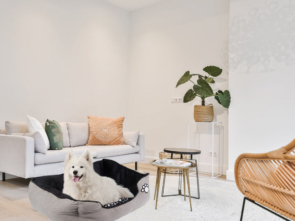 Pliušinė patalynė šuns lova su ištraukiama pagalvėle minkšta patogi, Pilka, Szín, Szürke