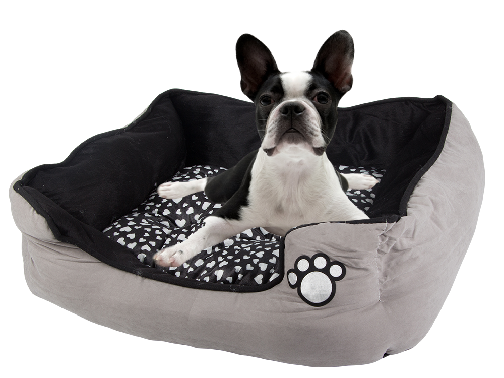 Pliušinė patalynė šuns lova su ištraukiama pagalvėle minkšta patogi, Pilka, Szín, Szürke