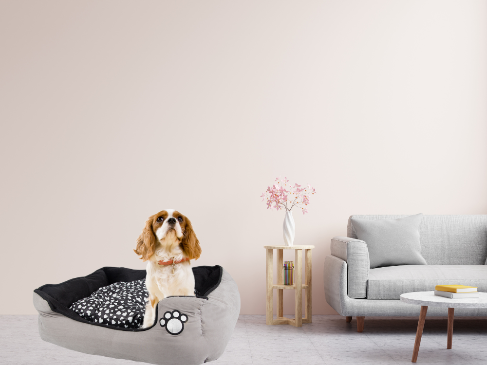 Pliušinė patalynė šuns lova su ištraukiama pagalvėle minkšta patogi, Pilka, Szín, Szürke