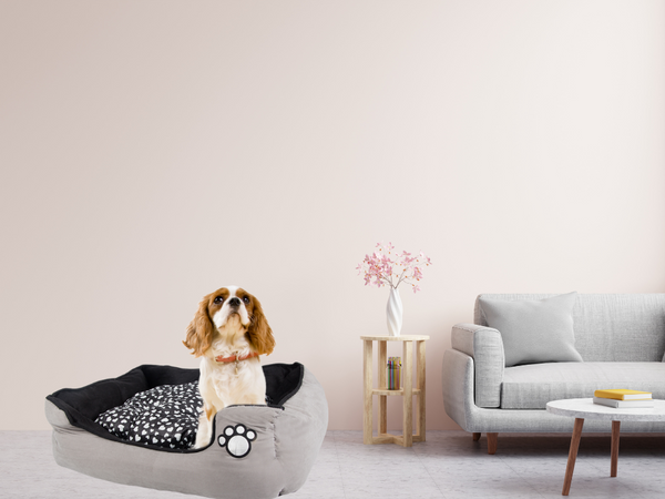 Pliušinė patalynė šuns lova su ištraukiama pagalvėle minkšta patogi, Pilka, Szín, Szürke