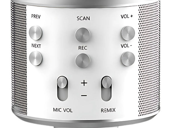 Belaidis mikrofonas bluetooth karaoke garsiakalbis apvalus su dėklu įvairūs režimai, Sidabras, Szín, Ezüst