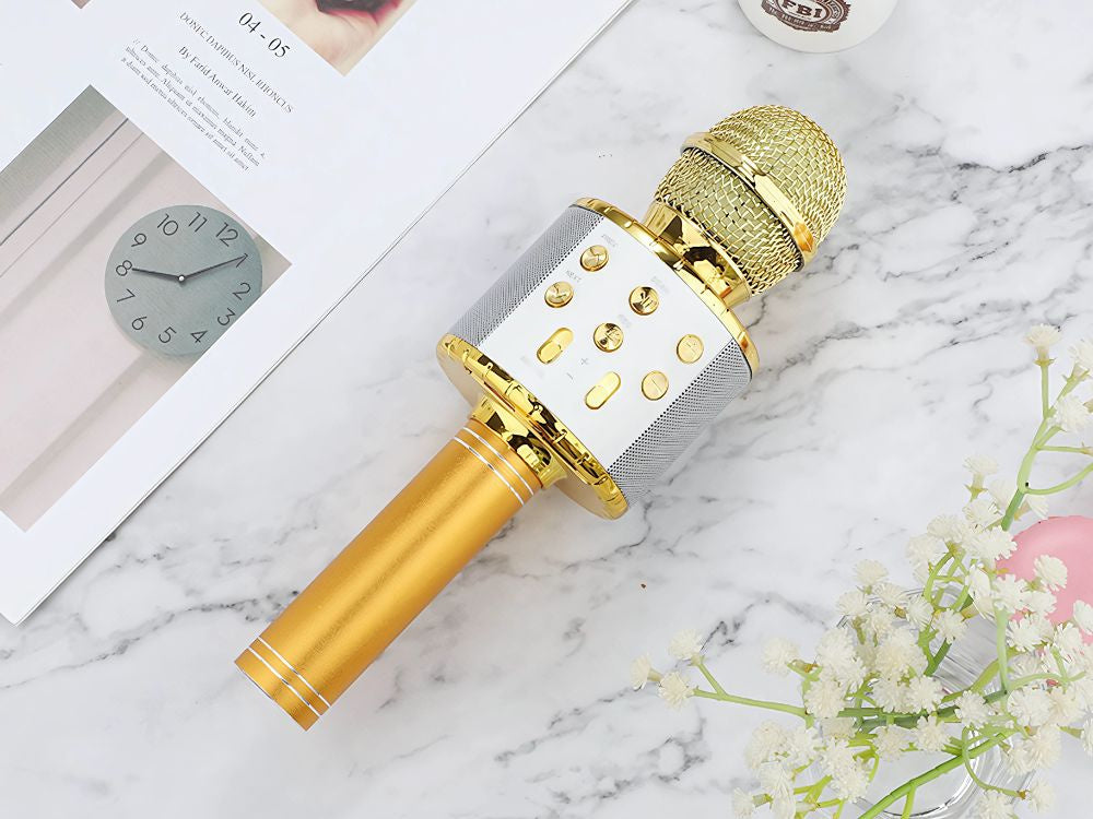Belaidis mikrofonas bluetooth karaoke garsiakalbis apvalus su dėklu įvairūs režimai, Auksinis, Szín, Aranysárga