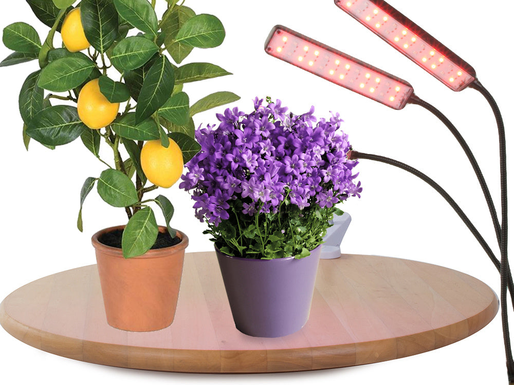Vadovaujama augalų lempa usb auginti skydelis auga šviesos laikmatis klipas ant gėlių