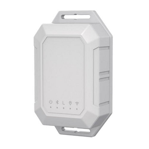 GPS sekimo įrenginys, LoRaWan tinkle