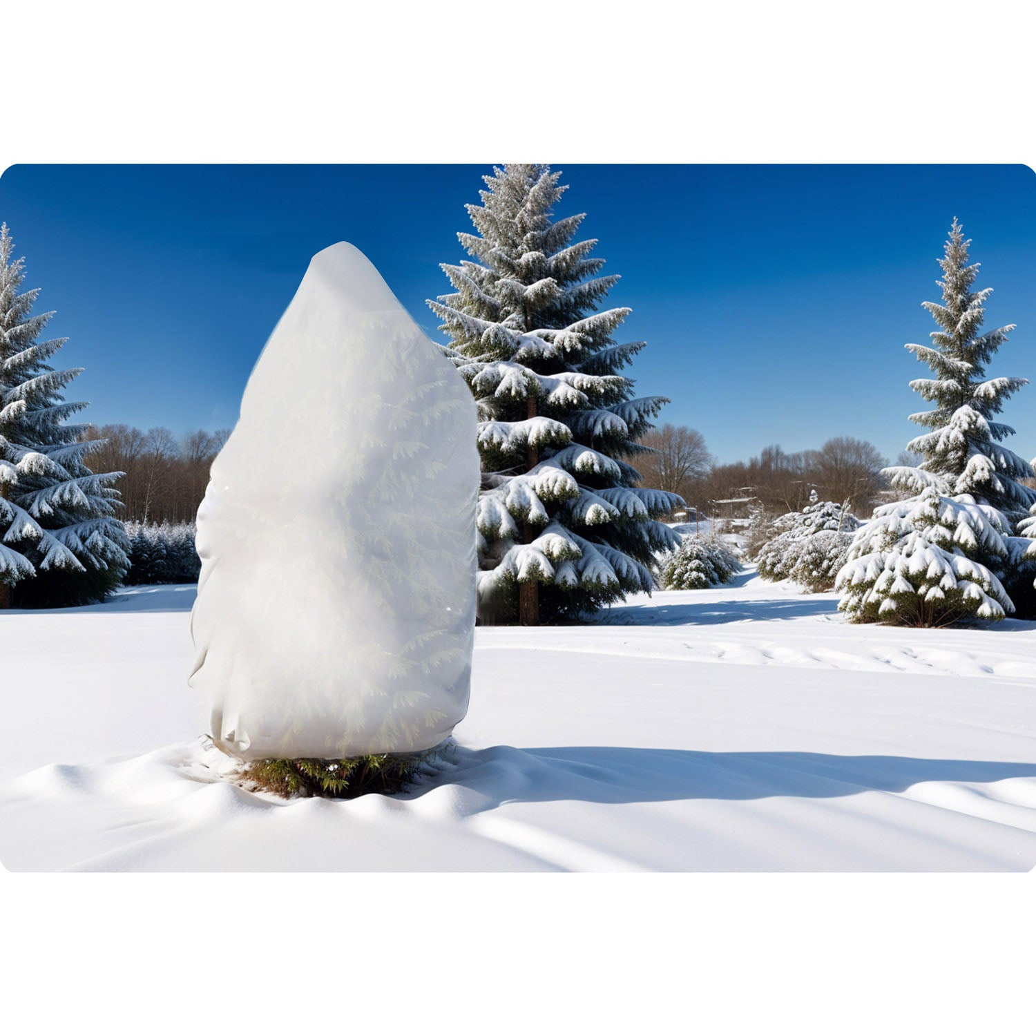 2000 cm x 160 cm apvalkalas iš agrofilino