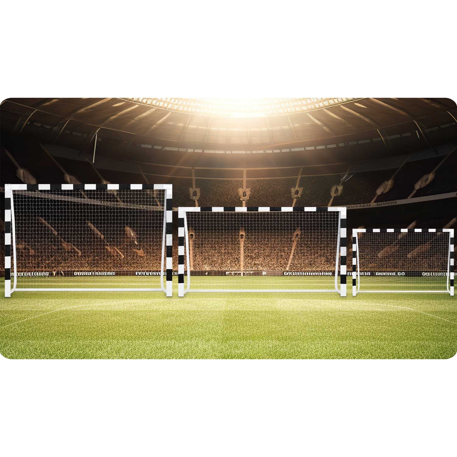 Futbolo vartai 300 x 160 x 90 cm NS-460 juoda ir balta