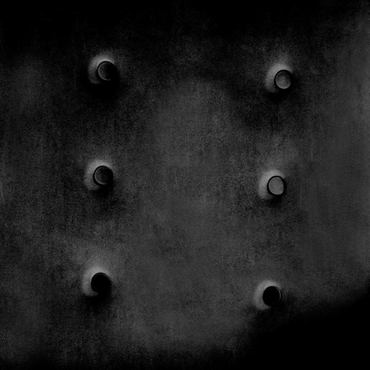 Aulė ausų su kojomis Sofotel Norse juoda