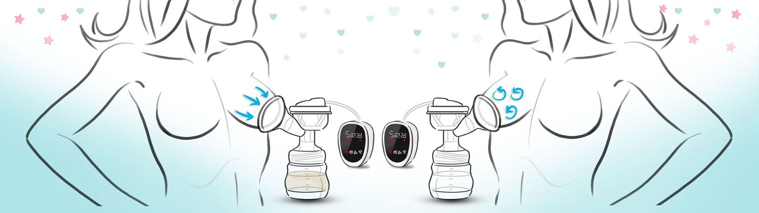 5904 elektrinis dvifazinis Berdsen lakteris