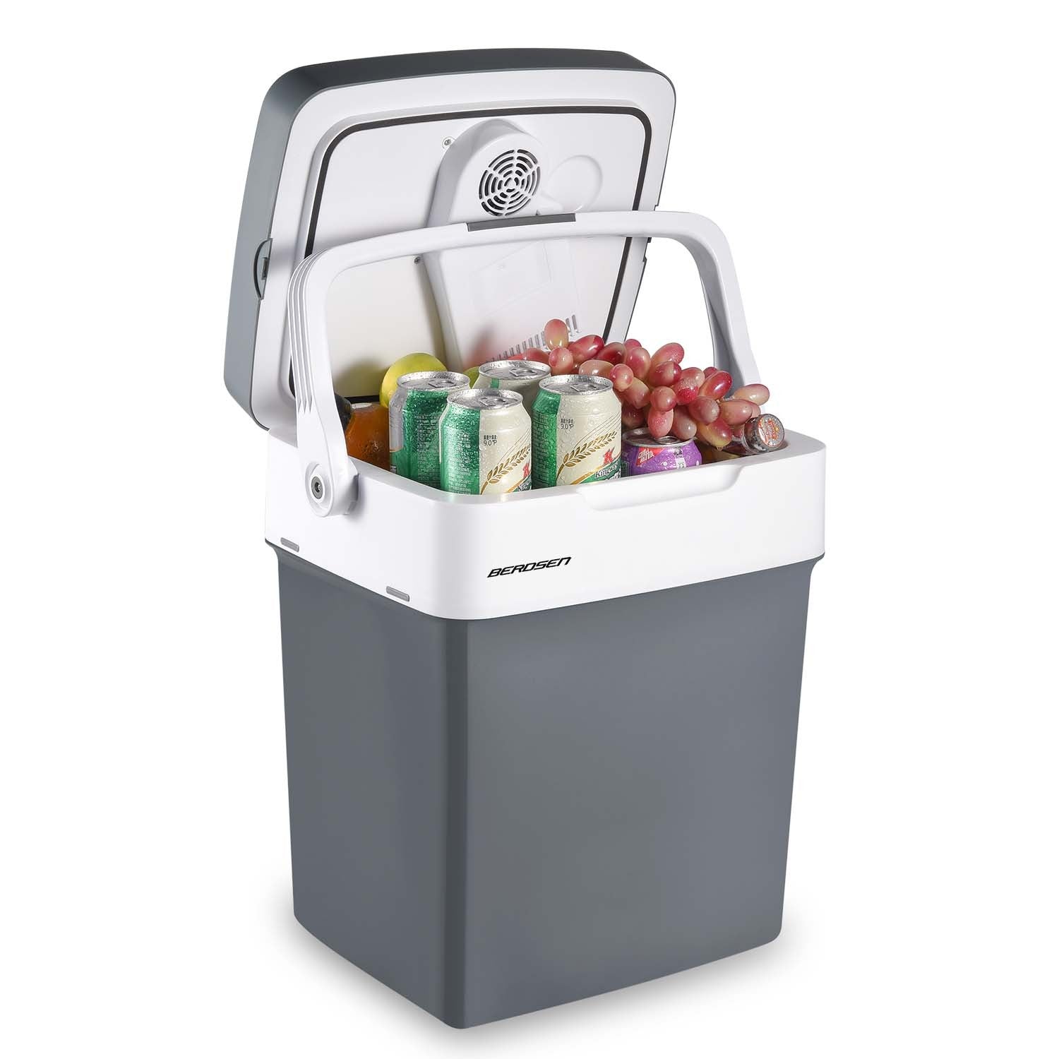 Berdsen Icemax 29 litrų ECO režimas