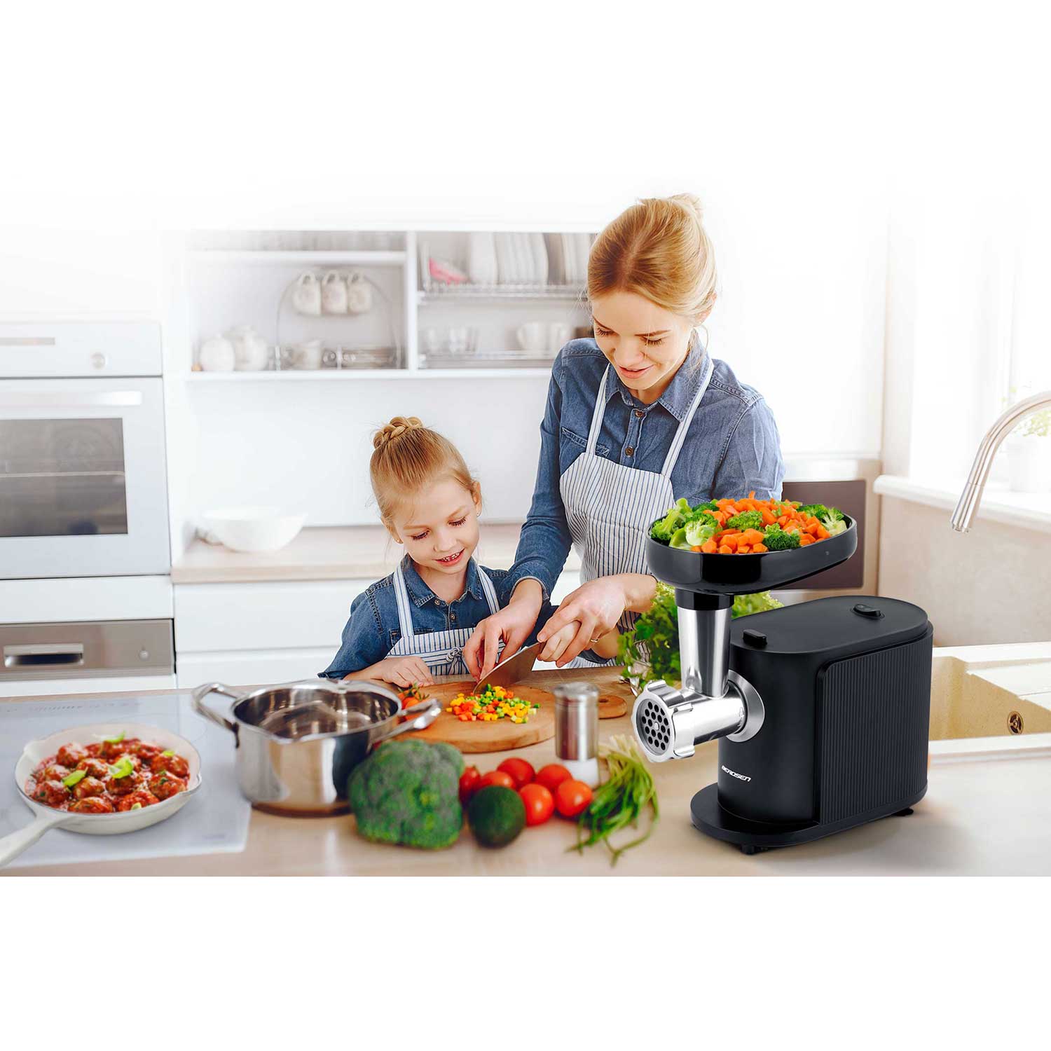 Mėsos malimo mašina BD-600 Berdsen 300/800W