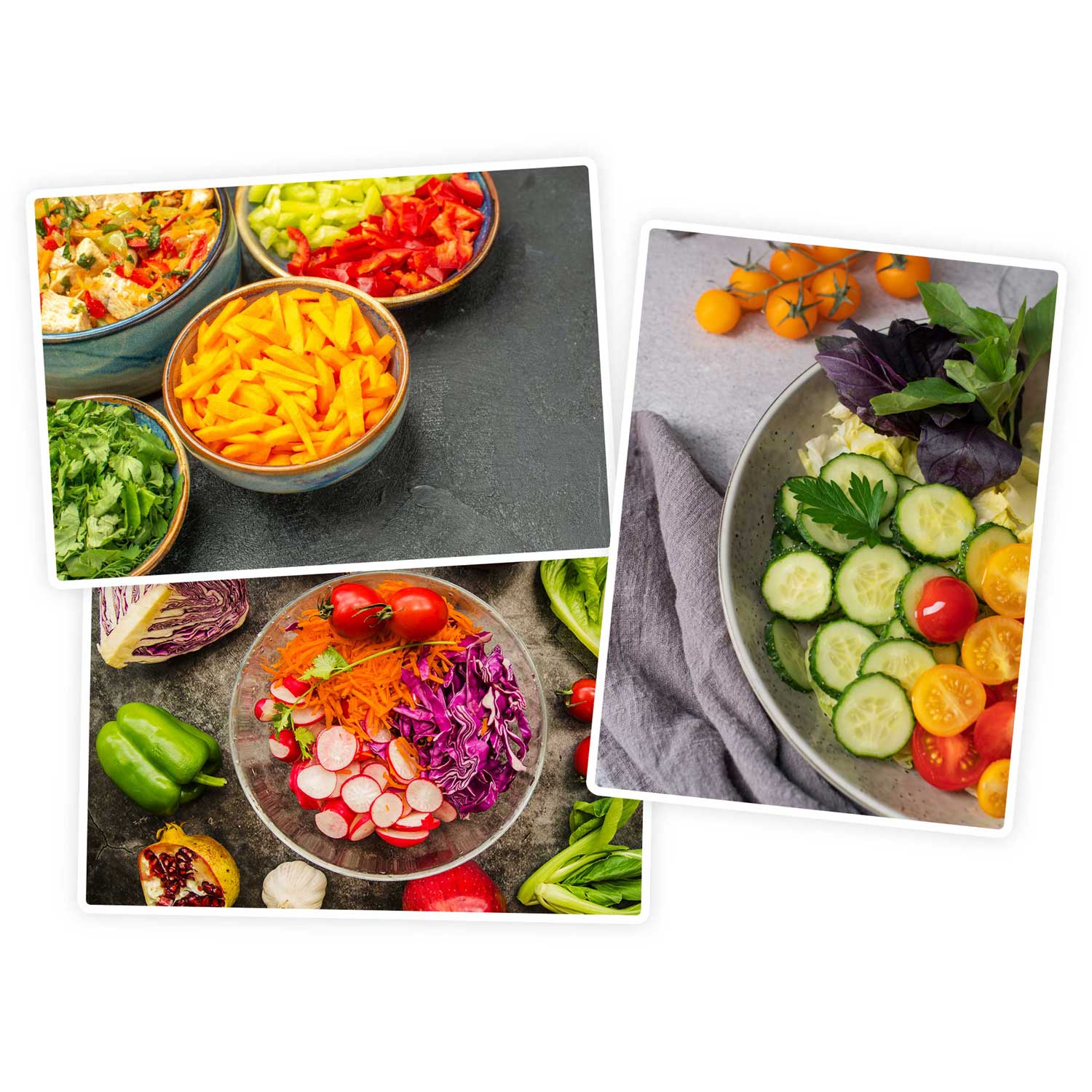 Mėsos malimo mašina BD-600 Berdsen 300/800W