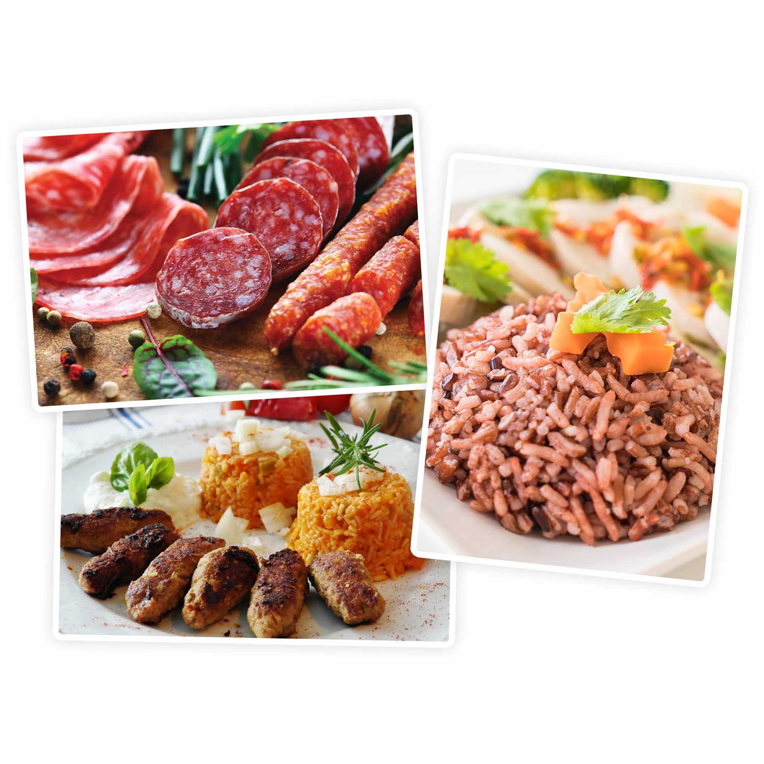 Mėsos Malimo Mašina BD-602 Berdsen 800/2000W