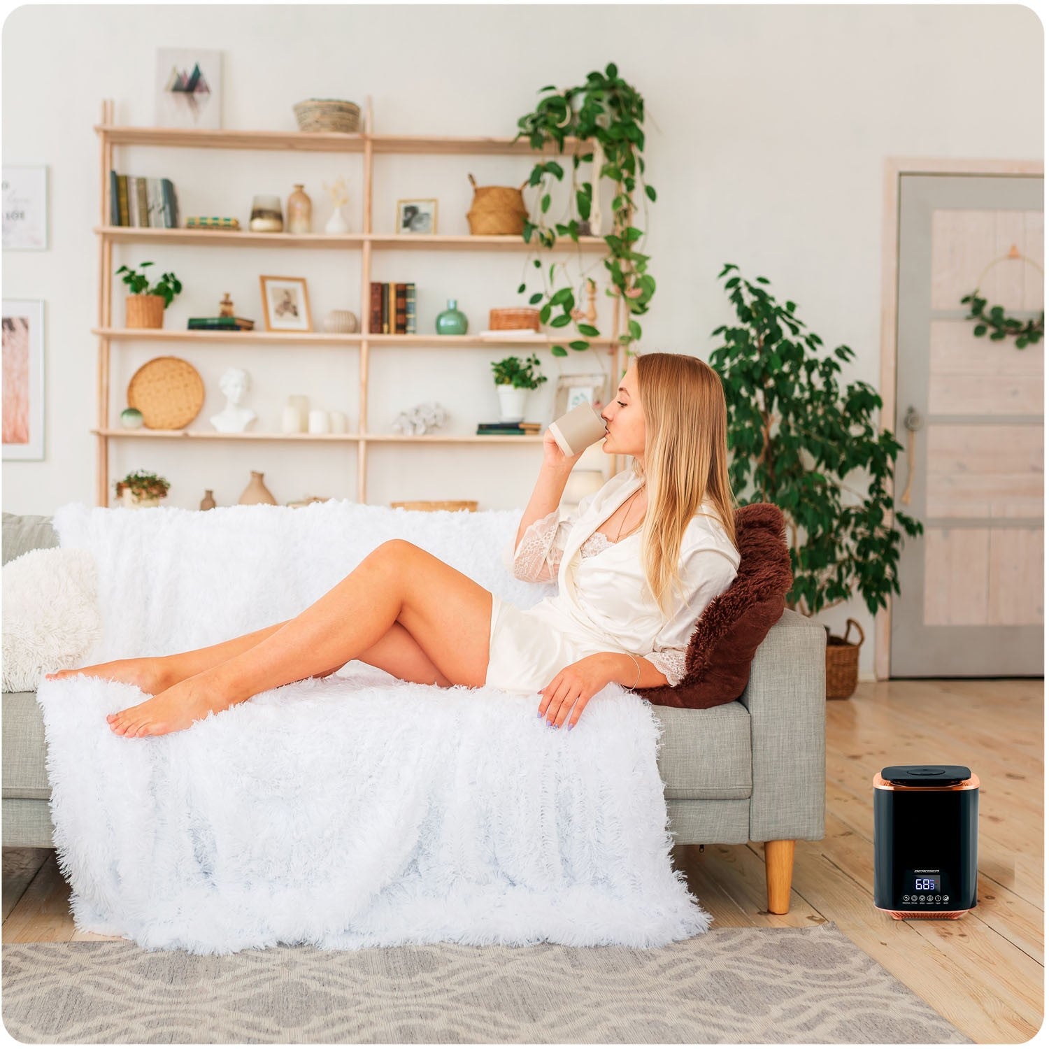 Berdsen BD-502 oro drėkintuvas