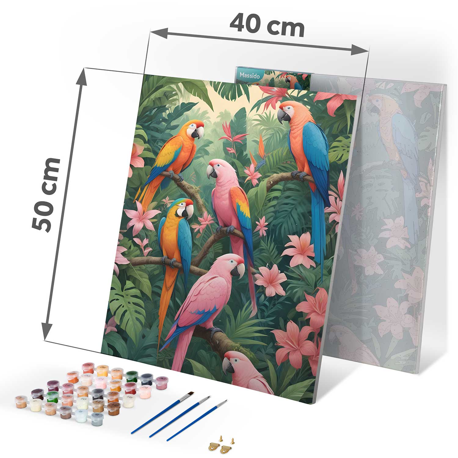 40x50 cm Massido Papugių paveikslas