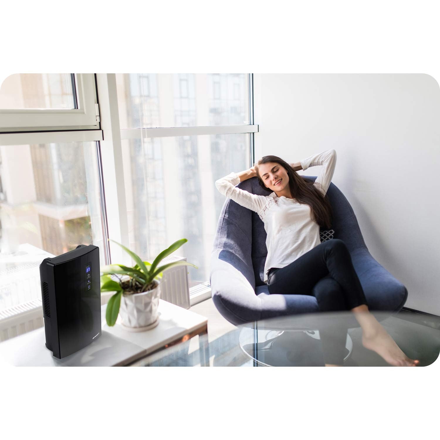 Berdsen BR-20 oro džiovintuvas - drėkintuvas