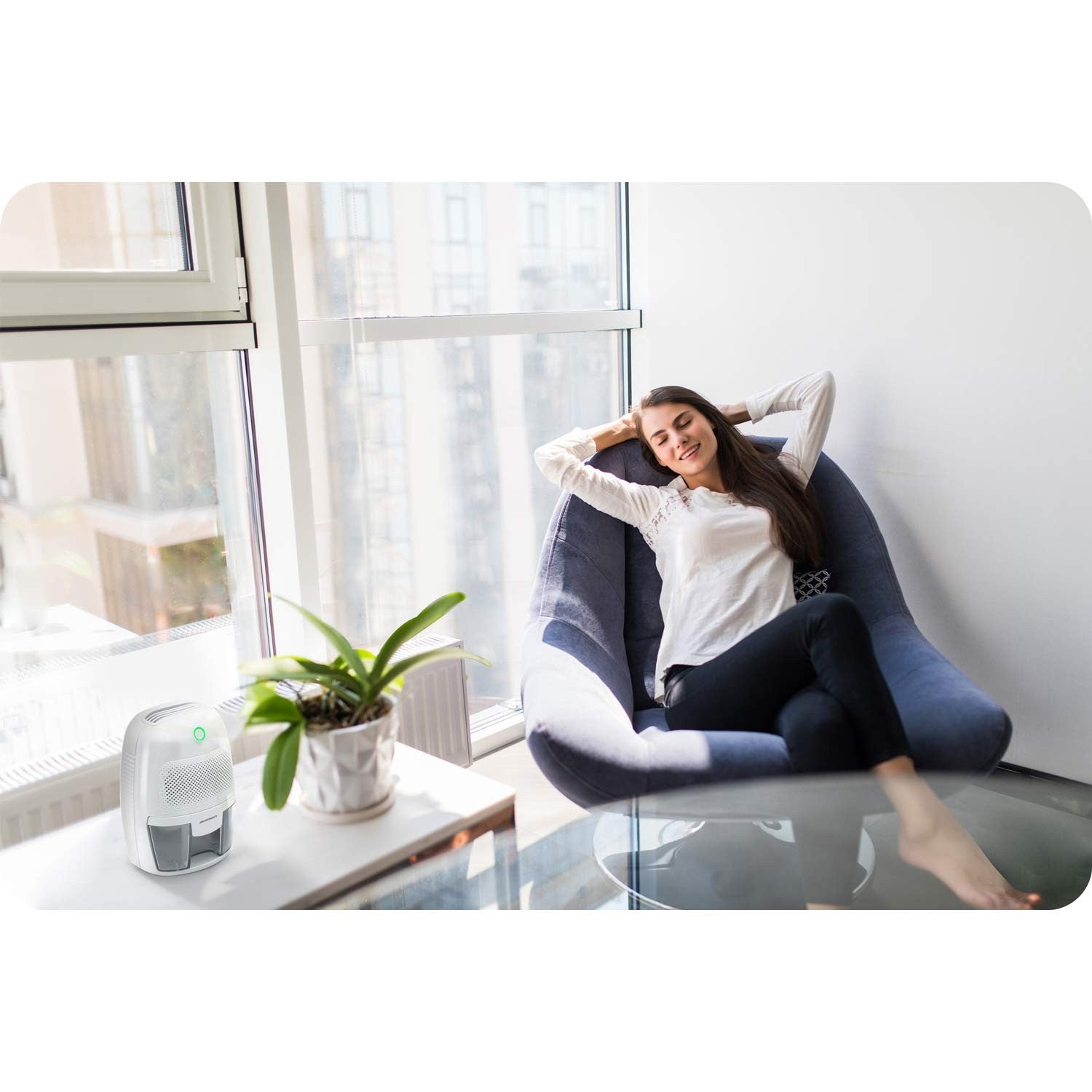 Oro džiovintuvas - drėkintuvas su automobilio maitinimo įtaisu Berdsen BR-50B balta