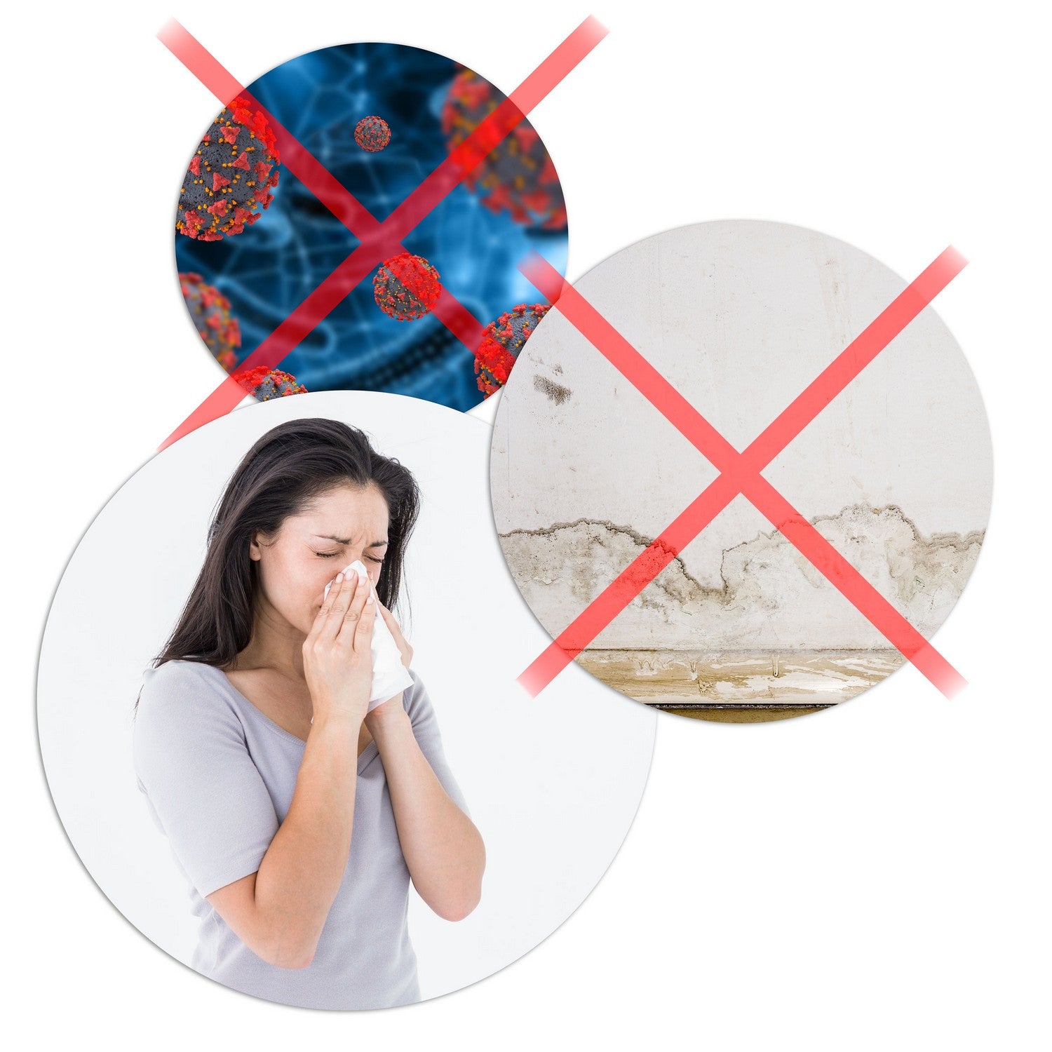 Berdsen BR-10B oro džiovintuvas - drėkintuvas