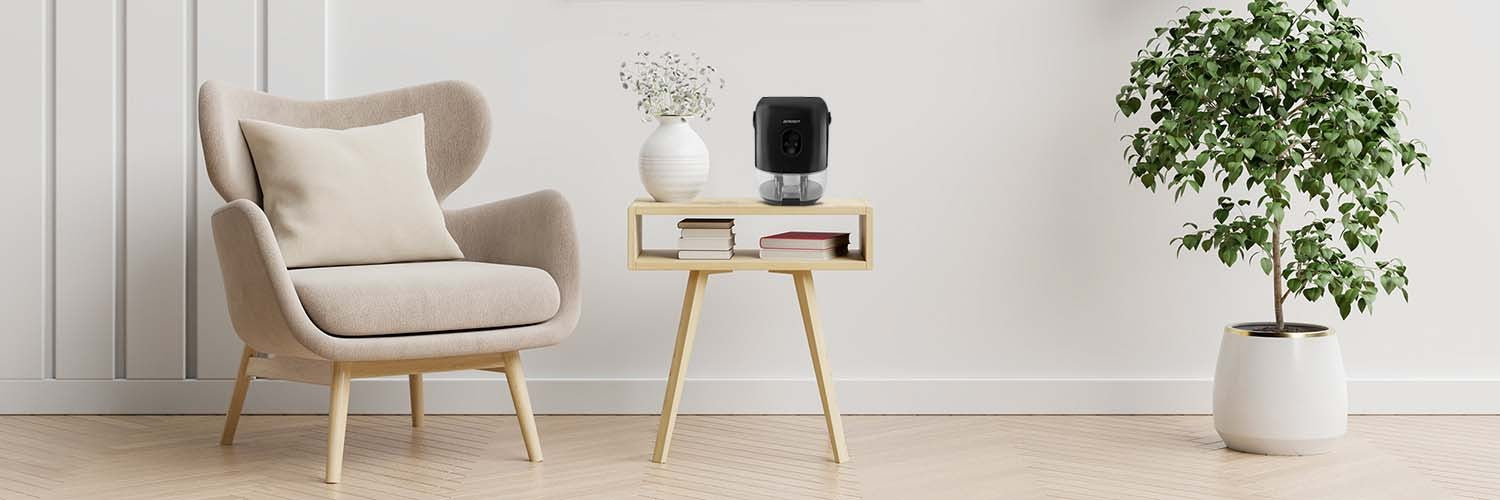 Berdsen BR-10B oro džiovintuvas - drėkintuvas