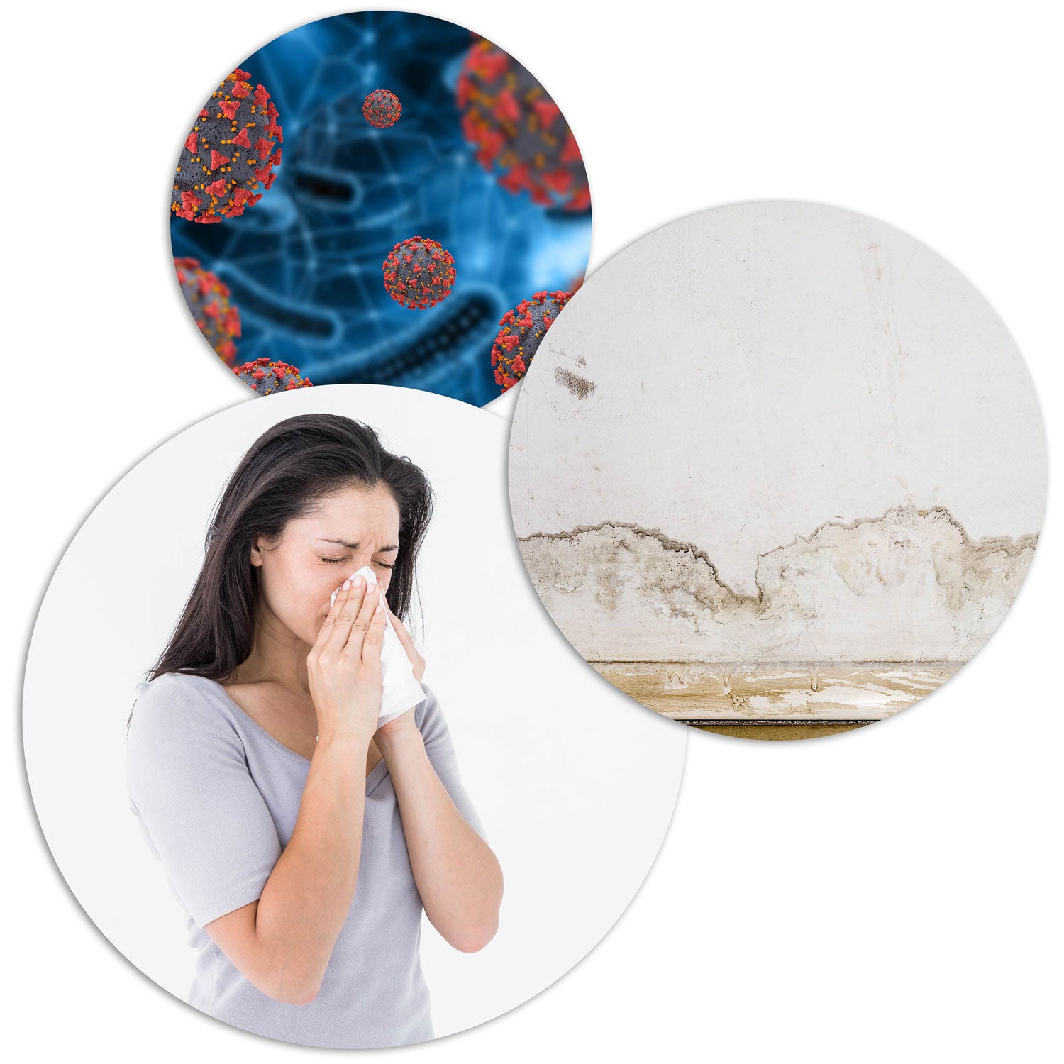 Berdsen BR-22A oro džiovintuvas - drėkintuvas