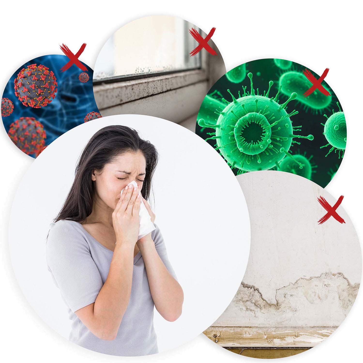 Berdsen BD-527 oro džiovintuvas - drėkintuvas