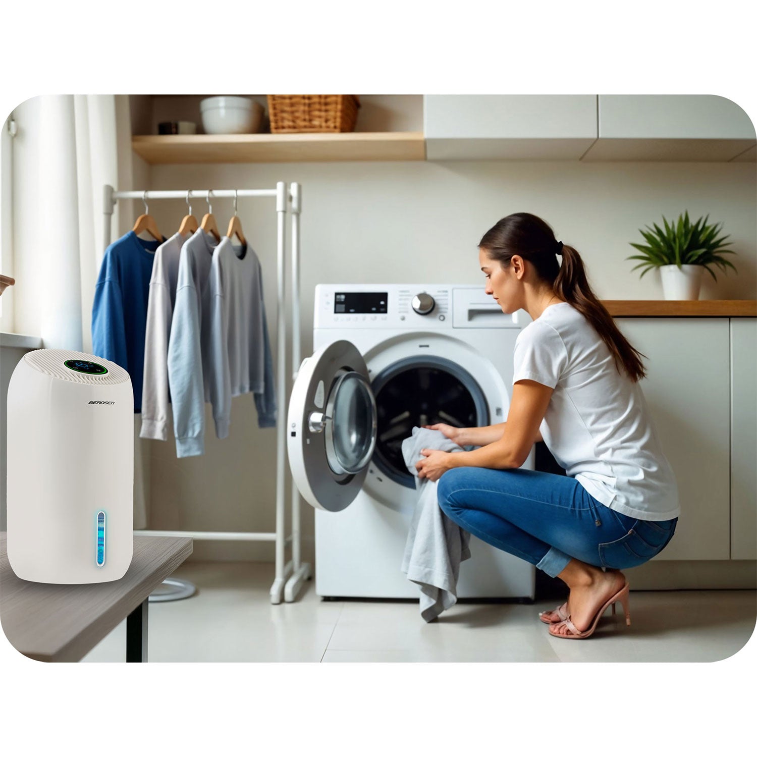 Berdsen BD-529 oro džiovintuvas - drėkintuvas