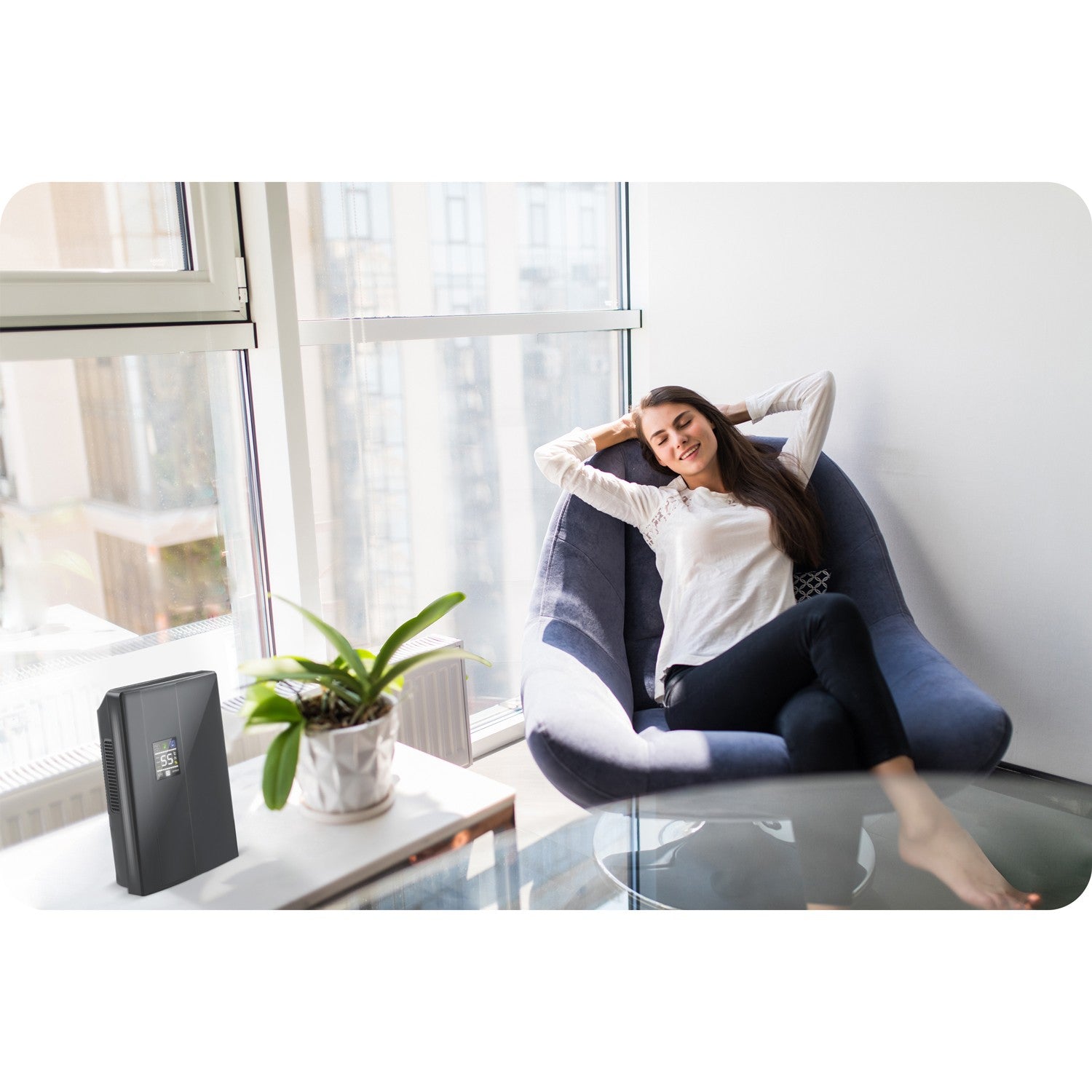 Berdsen BR-20D oro džiovintuvas - drėkintuvas