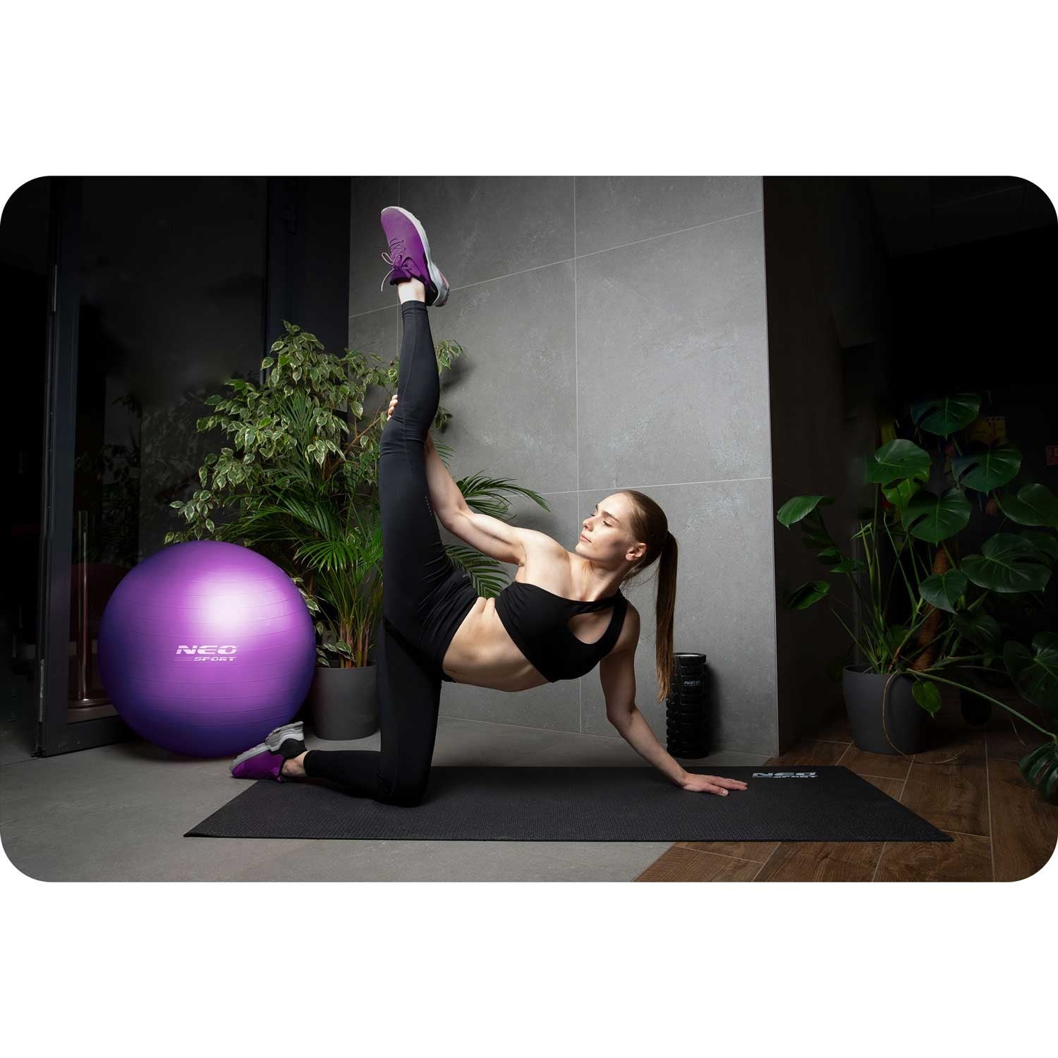 65 cm NS-951 violetinis treniruoklių kamuolys