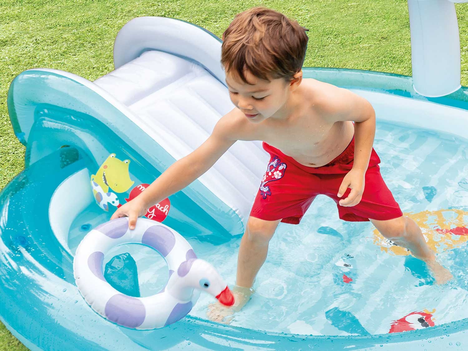 Krokodilų žaidimų aikštelė