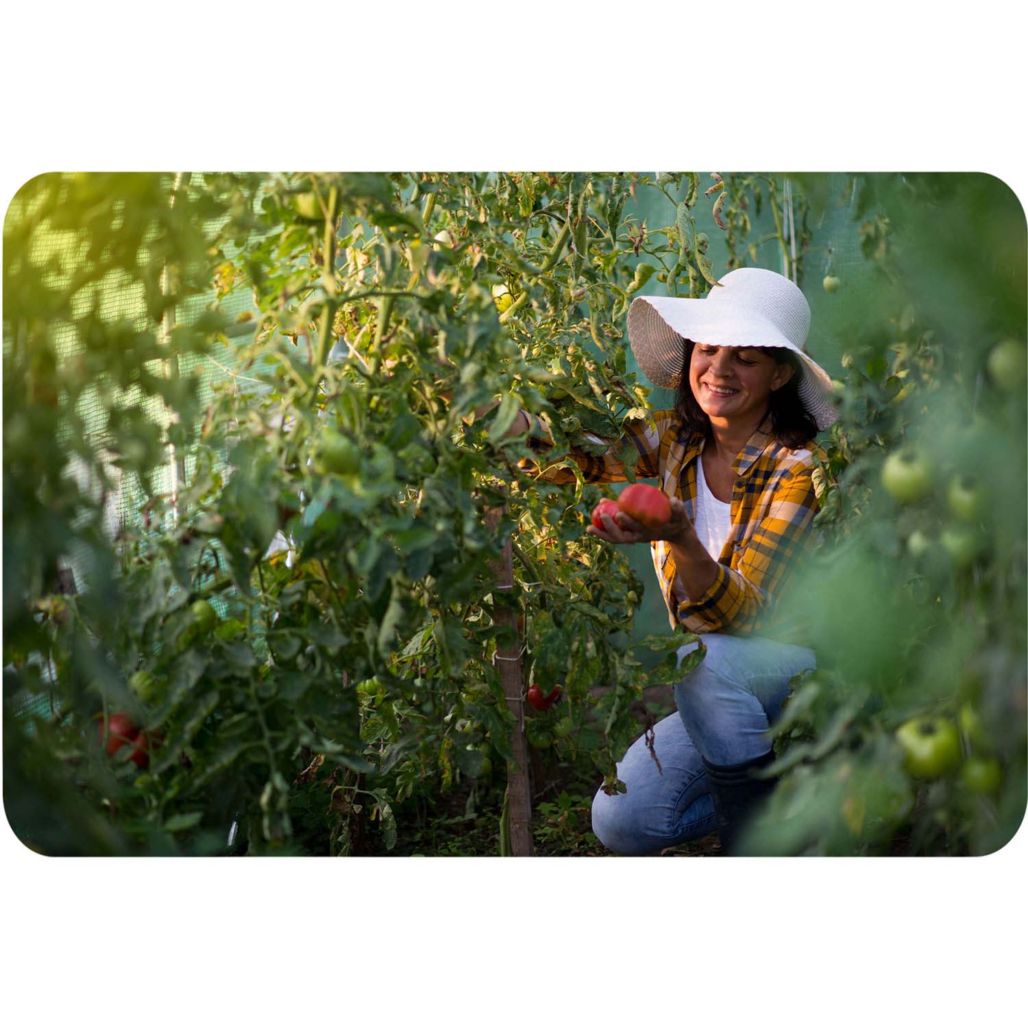 2,5 x 4 m (10 m2) sodas