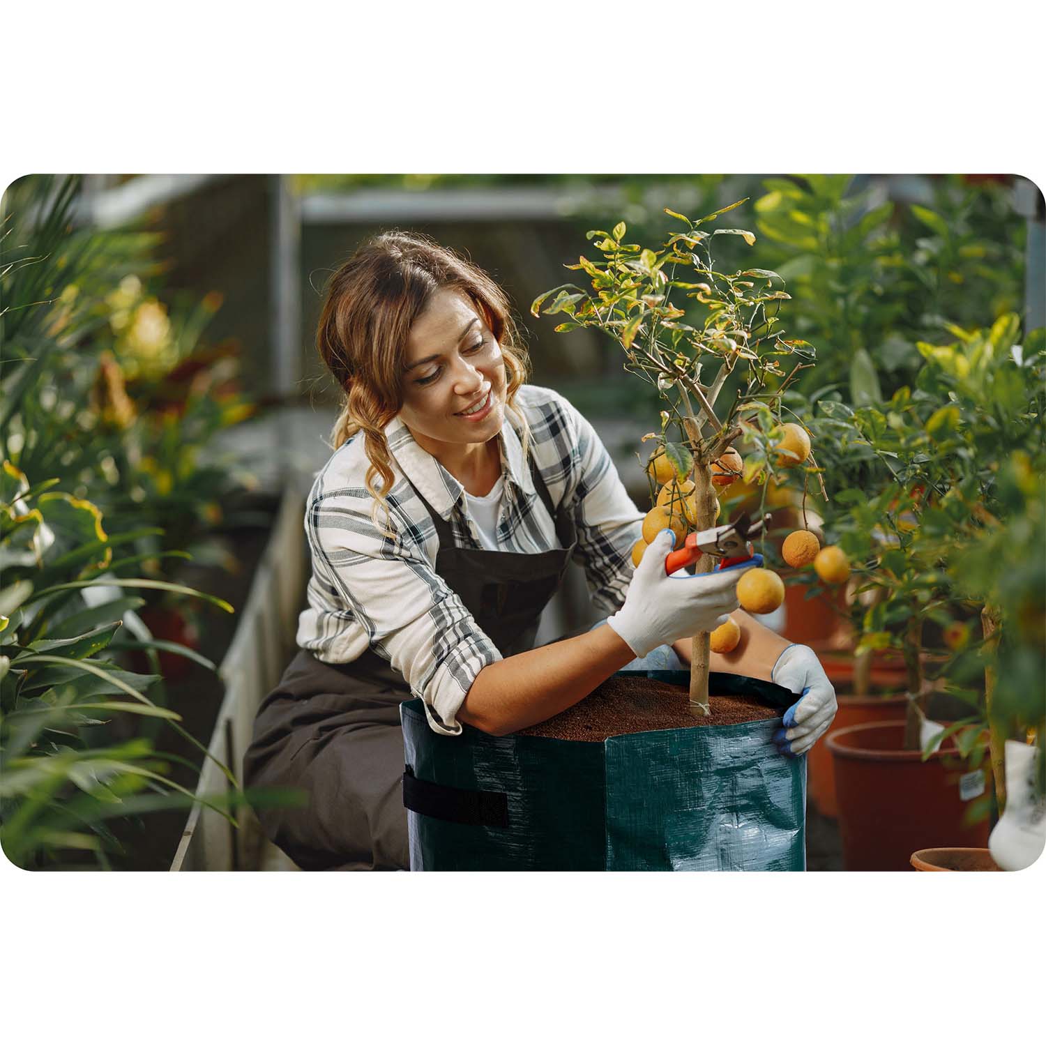 43 litrų daržovių auginimo maišas Plonos PL-964