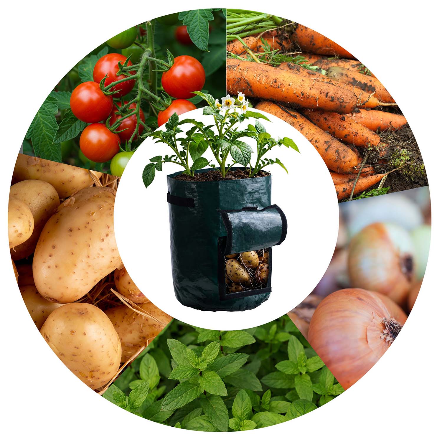 43 litrų daržovių auginimo maišas Plonos PL-964