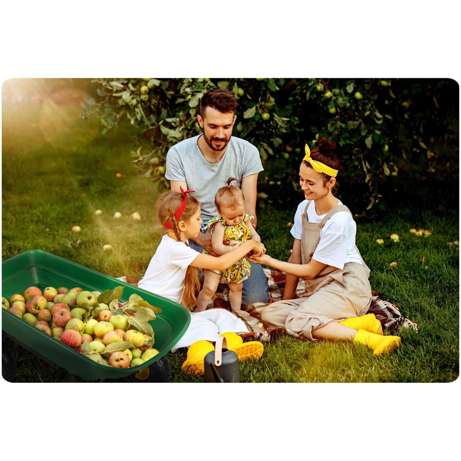 52L Humbergo 4870 aplenkimo sodininkas