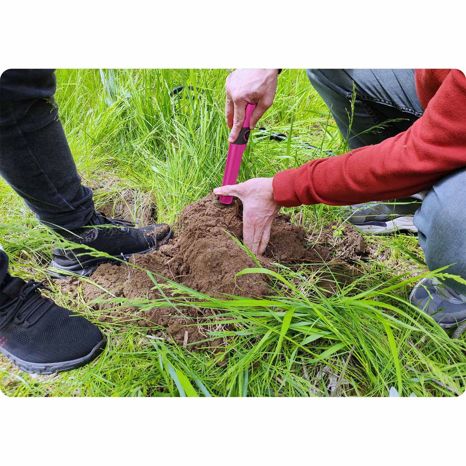 Pinpointer Cobra Tector CT-1079 metalo detektorius