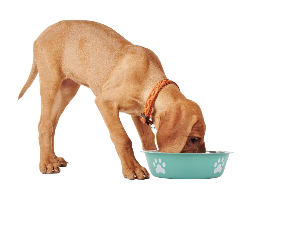 Metalinis anti-slipping dog cat food water bowl 150ml