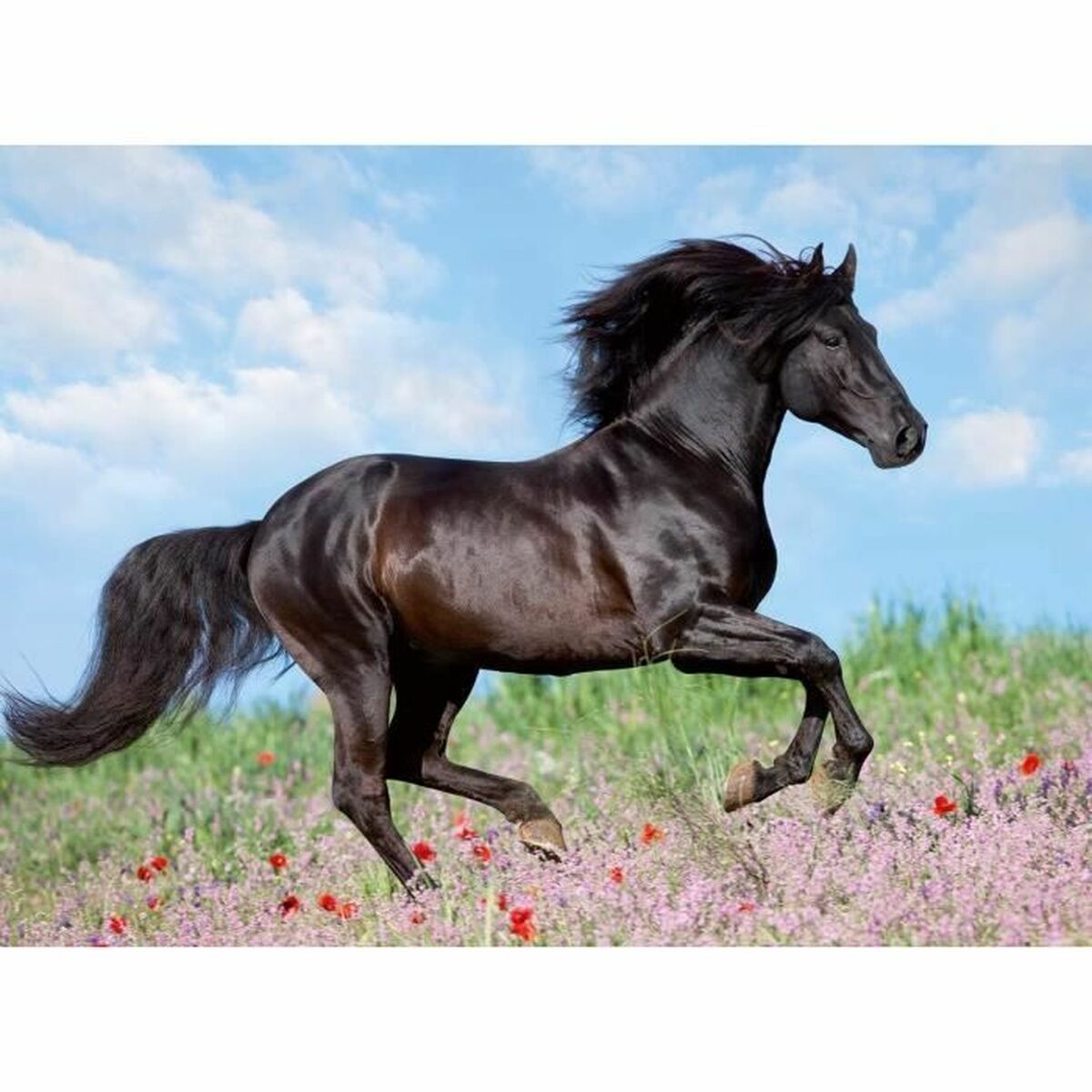 Dėlionė Ravensburger 12803 Black Stallion XXL 200 Dalys