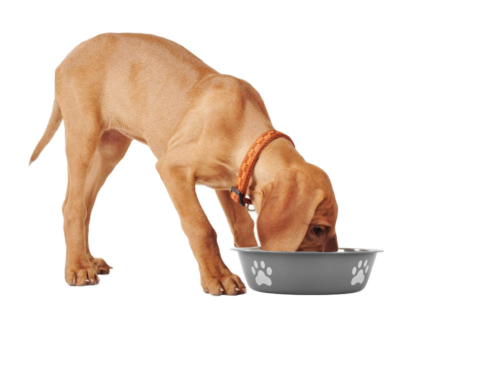 Metalinis anti-slipping dog cat food water bowl 150ml